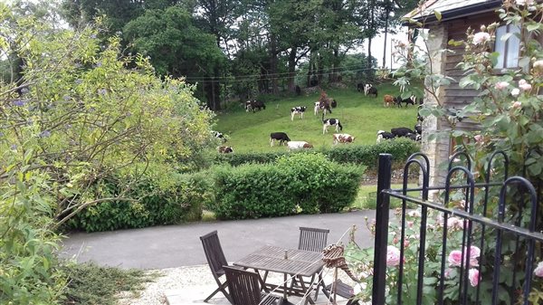 farm stay uk